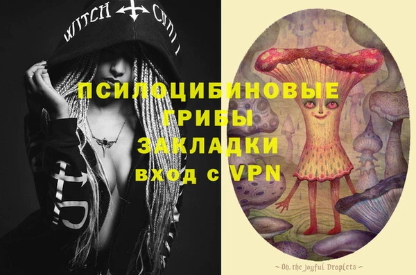 дурь Михайловск