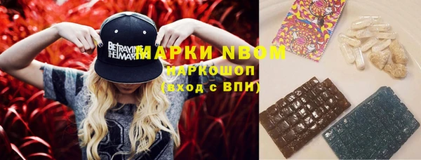 стафф Михайловка