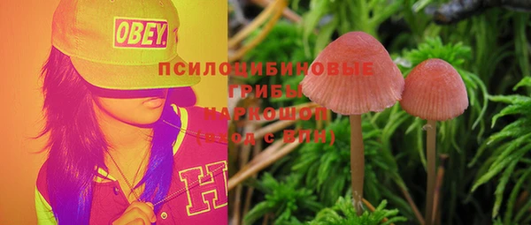 гидропоника Медногорск