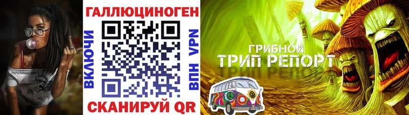 купить закладку  Нерчинск  Псилоцибиновые грибы Psilocybe 