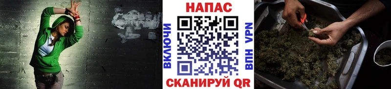 Каннабис сатива  Нерчинск 